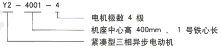 YR系列(H355-1000)高压YRKK5004-6三相异步电机西安西玛电机型号说明